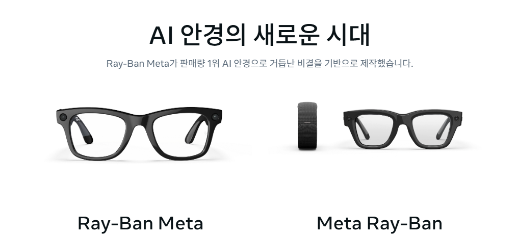메타 안경의 모든 것